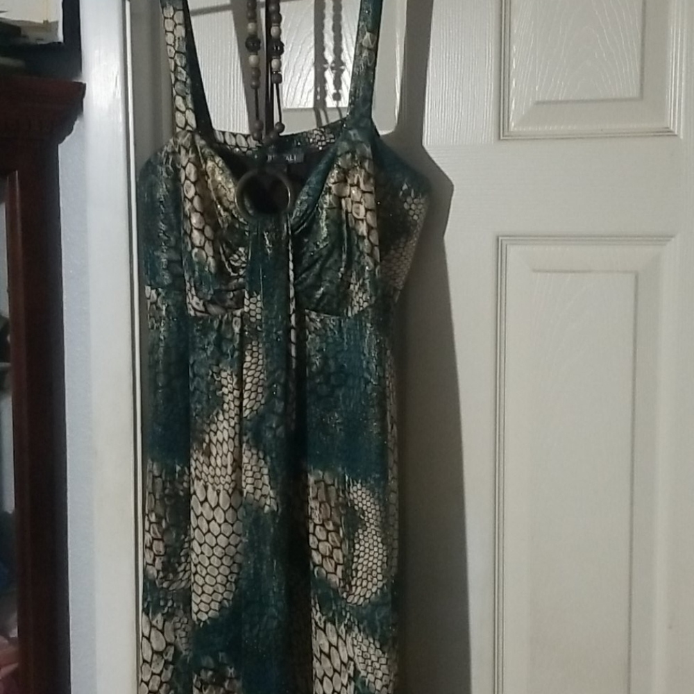 Snakeskin Maxi dress